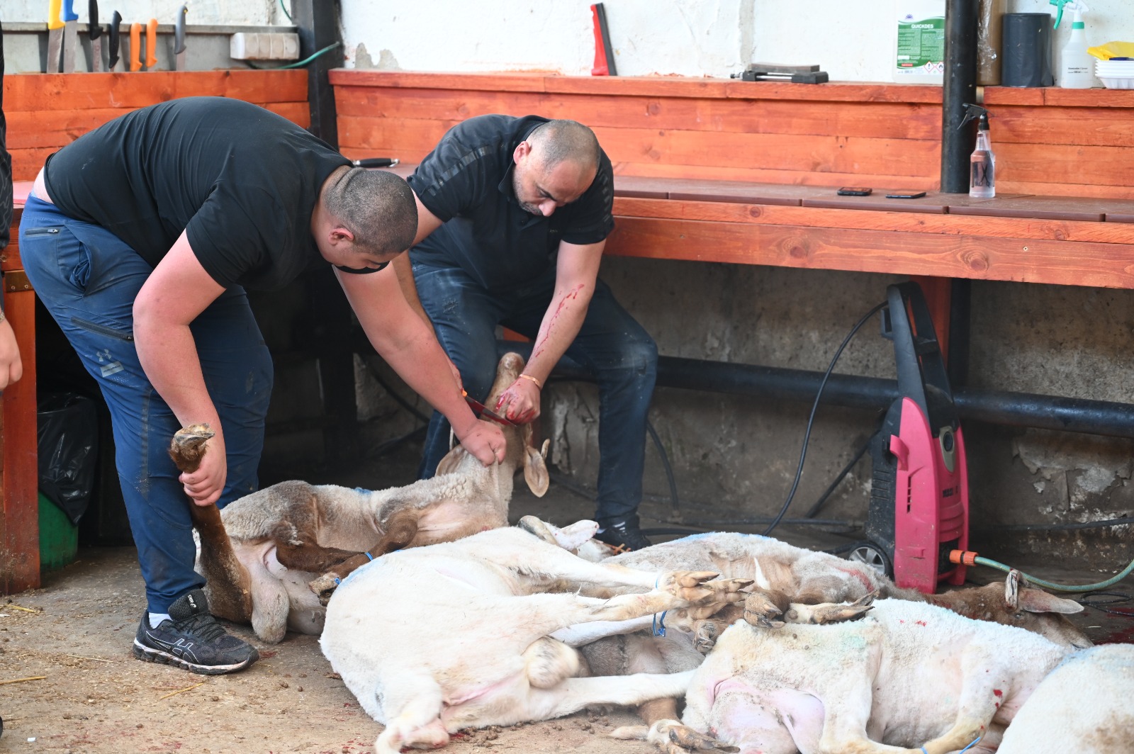 WhatsApp Image 2023-04-05 at 10.44.06 PM.jpeg